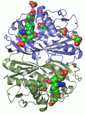 Image Asym./Biol. Unit - manually