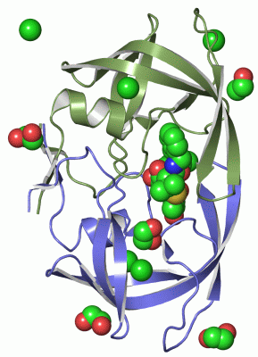 Image Asym./Biol. Unit - manually