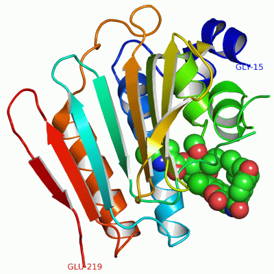 Image Asym./Biol. Unit - manually