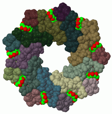 Image Biol.Unit 1 - manually