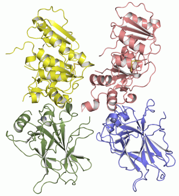 Image Asym./Biol. Unit - manually