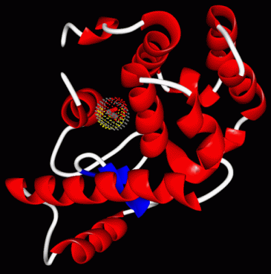 Image Asym./Biol. Unit - manually