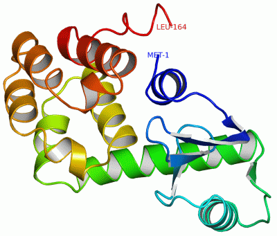 Image Asym./Biol. Unit - manually