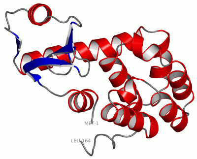 Image Asym./Biol. Unit - manually