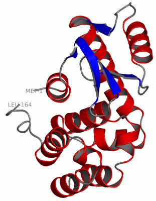 Image Asym./Biol. Unit - manually