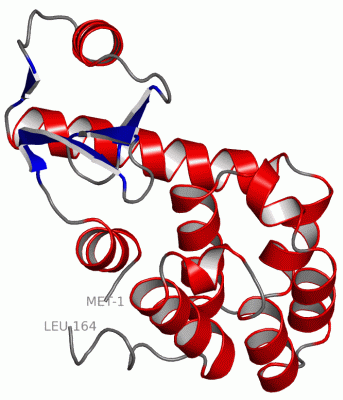 Image Asym./Biol. Unit - manually