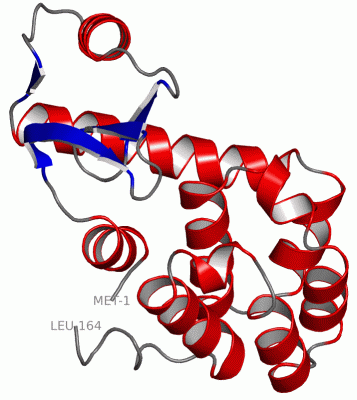 Image Asym./Biol. Unit - manually