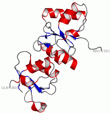 Image Asym./Biol. Unit - manually