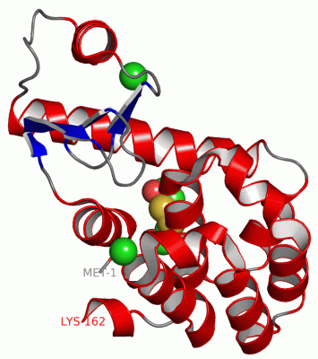 Image Asym./Biol. Unit - manually