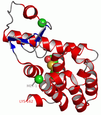 Image Asym./Biol. Unit - manually