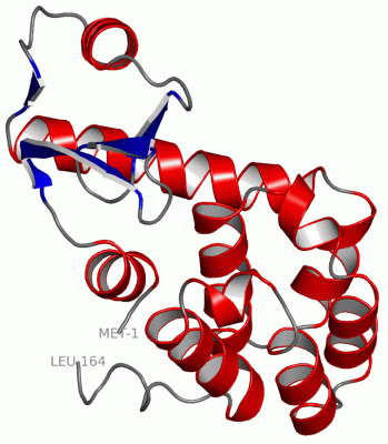 Image Asym./Biol. Unit - manually