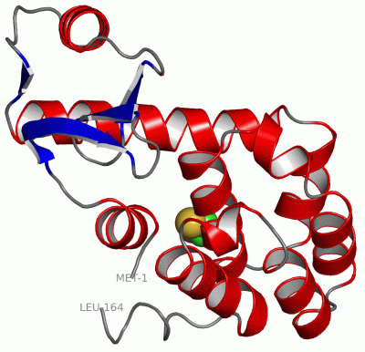 Image Asym./Biol. Unit - manually