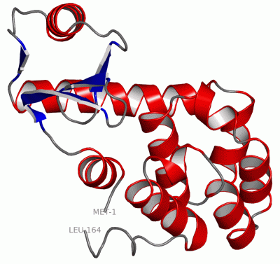 Image Asym./Biol. Unit - manually