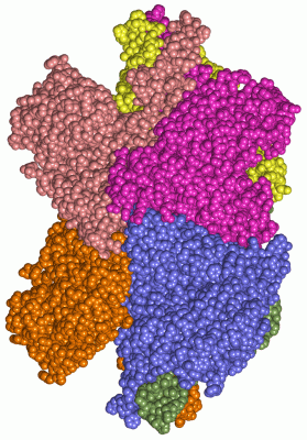 Image Asym./Biol. Unit - manually