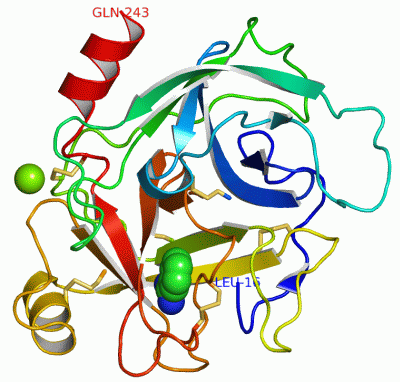 Image Asym./Biol. Unit - manually