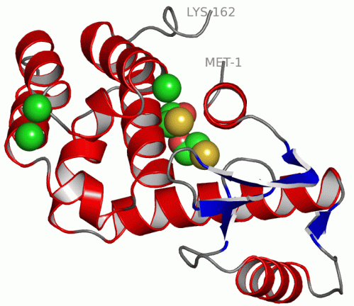 Image Asym./Biol. Unit - manually