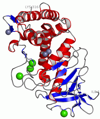 Image Asym./Biol. Unit - manually