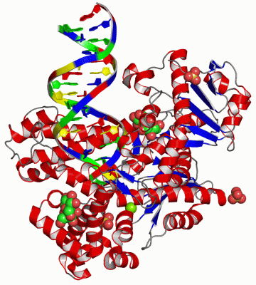 Image Asym./Biol. Unit - manually