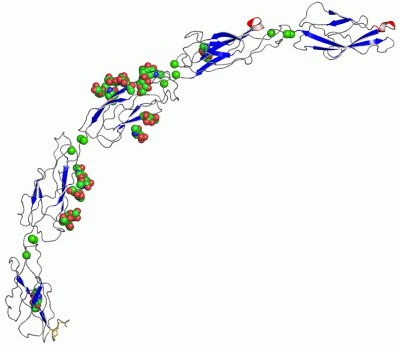 Image Asym./Biol. Unit - manually