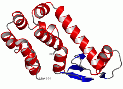 Image Asym./Biol. Unit - manually