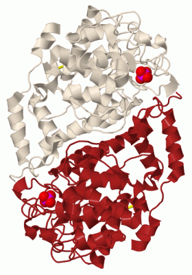 Image Biol.Unit 1 - manually