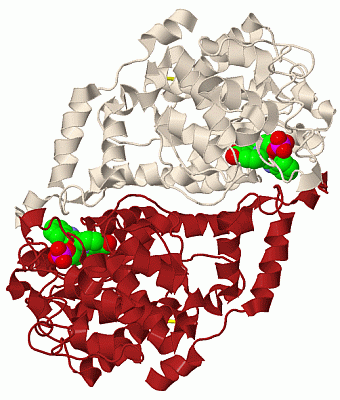 Image Biol.Unit 1 - manually