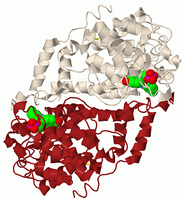 Image Biol.Unit 1 - manually