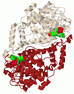 Image Biol.Unit 1 - manually