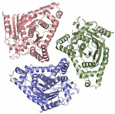 Image Asym./Biol. Unit - manually