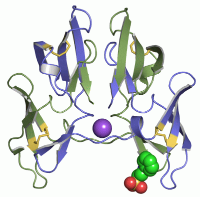Image Asym./Biol. Unit - manually