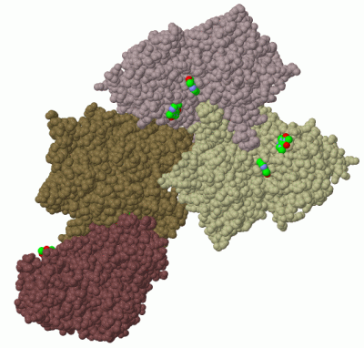 Image Biol.Unit 1 - manually