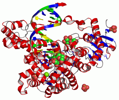 Image Asym./Biol. Unit - manually