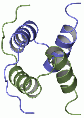 Image NMR Structure - manually