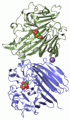 Image Asym./Biol. Unit - manually