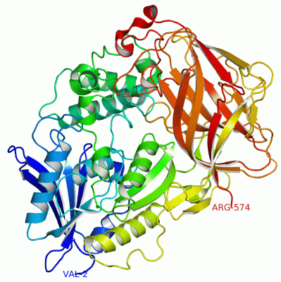 Image Asym./Biol. Unit - manually