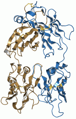 Image Asym./Biol. Unit - manually