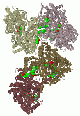 Image Biol.Unit 1 - manually