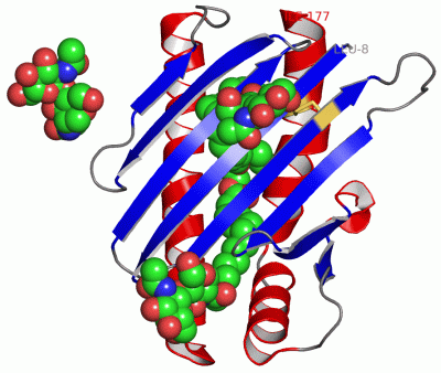 Image Asym./Biol. Unit - manually