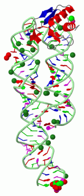 Image Asym./Biol. Unit - manually