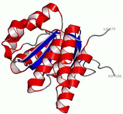 Image Asym./Biol. Unit - manually