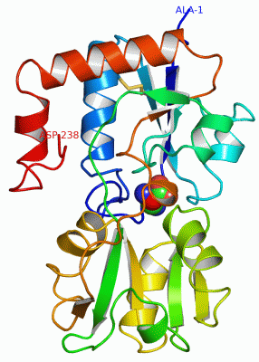 Image Asym./Biol. Unit - manually