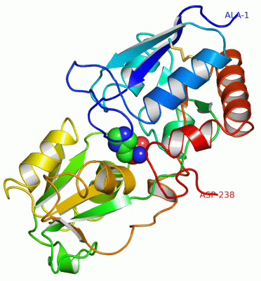 Image Asym./Biol. Unit - manually