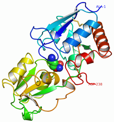 Image Asym./Biol. Unit - manually