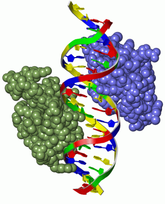 Image Asym./Biol. Unit - manually