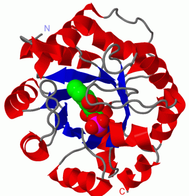 Image Asym./Biol. Unit - manually