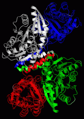 Image Asym./Biol. Unit - manually