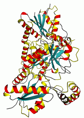 Image Asym./Biol. Unit - manually