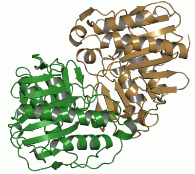 Image Asym./Biol. Unit - manually