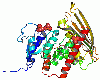 Image Asym./Biol. Unit - manually