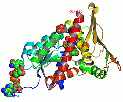 Image Asym./Biol. Unit - manually